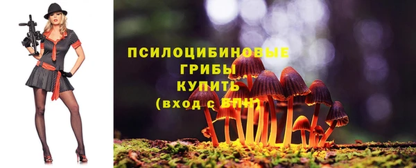 метадон Беломорск