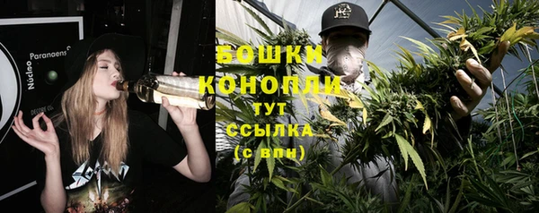 первитин Белоозёрский