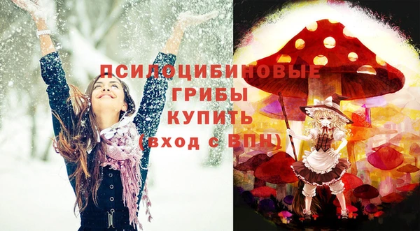 первитин Белоозёрский