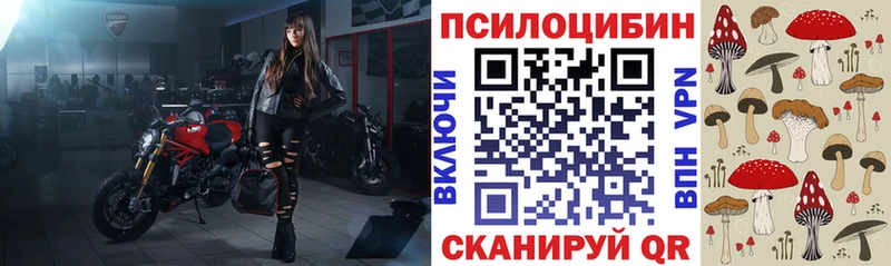 даркнет сайт  Ясногорск  Псилоцибиновые грибы Psilocybine cubensis 